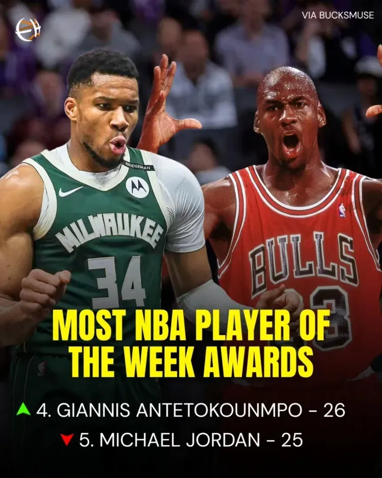 包含鹈鹕轻取篮网B队,字母哥一己之力扛起全队的词条 包含鹈鹕轻取篮网B队,字母哥一己之力扛起全队的词条