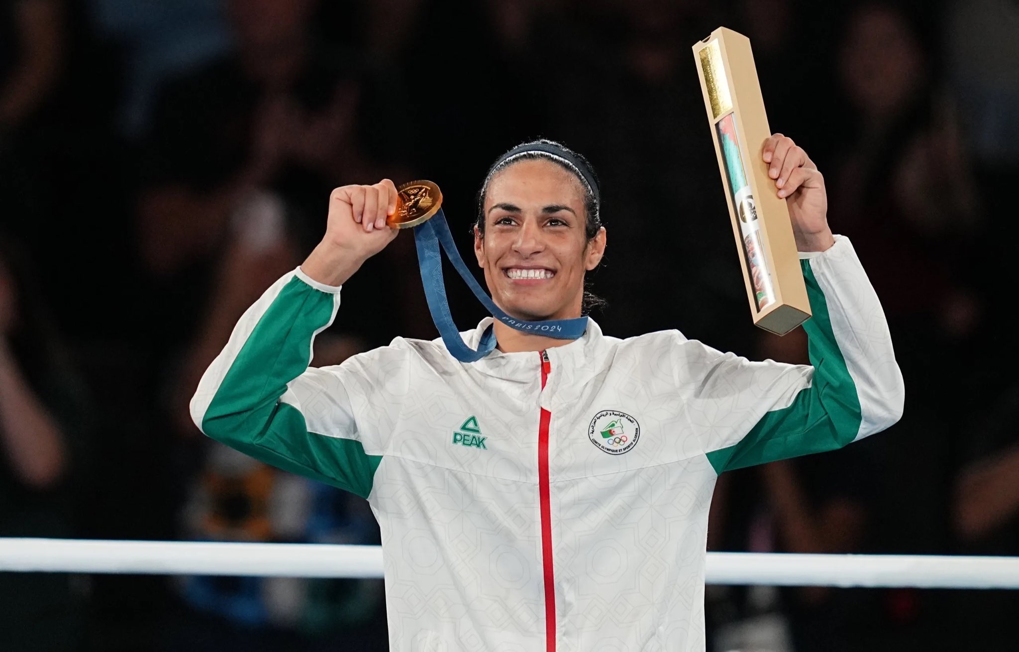 阿尔及利亚队以出色的表现争取胜利，让人印象深刻的简单介绍