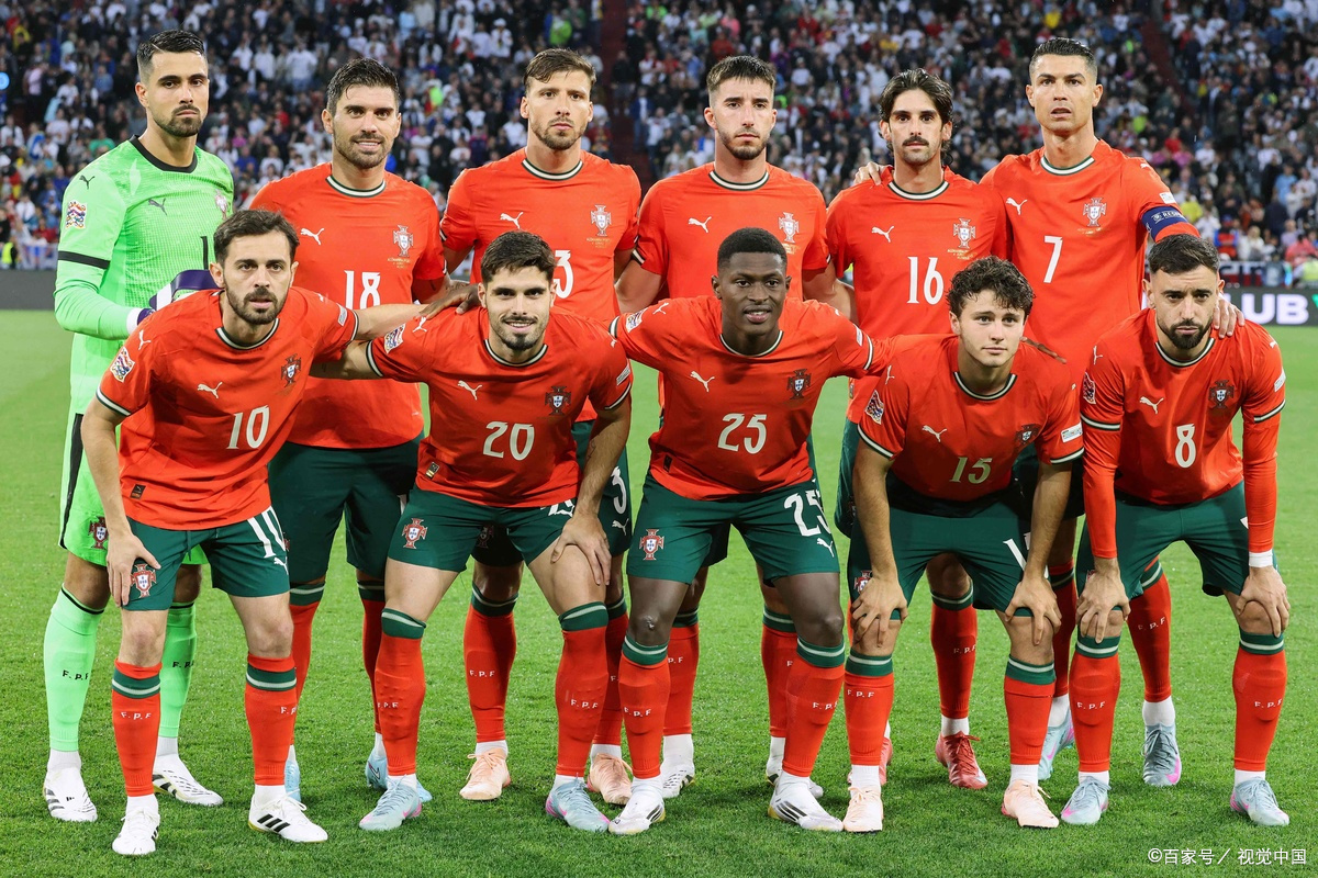 欧洲国家代表团火拼欧洲杯，夺取梦想之门的简单介绍