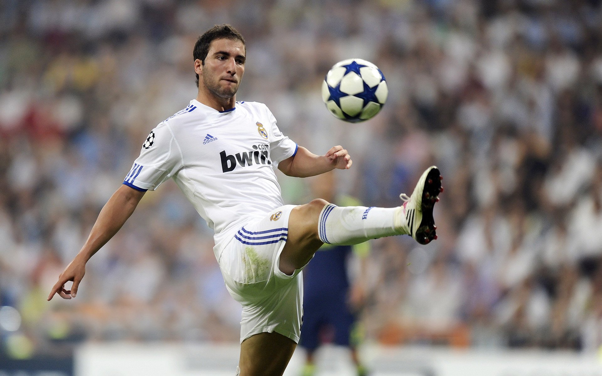 赛道上的双重风暴，梅赛德斯完胜红牛，诺里斯点燃赛场